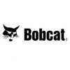 Bobcat